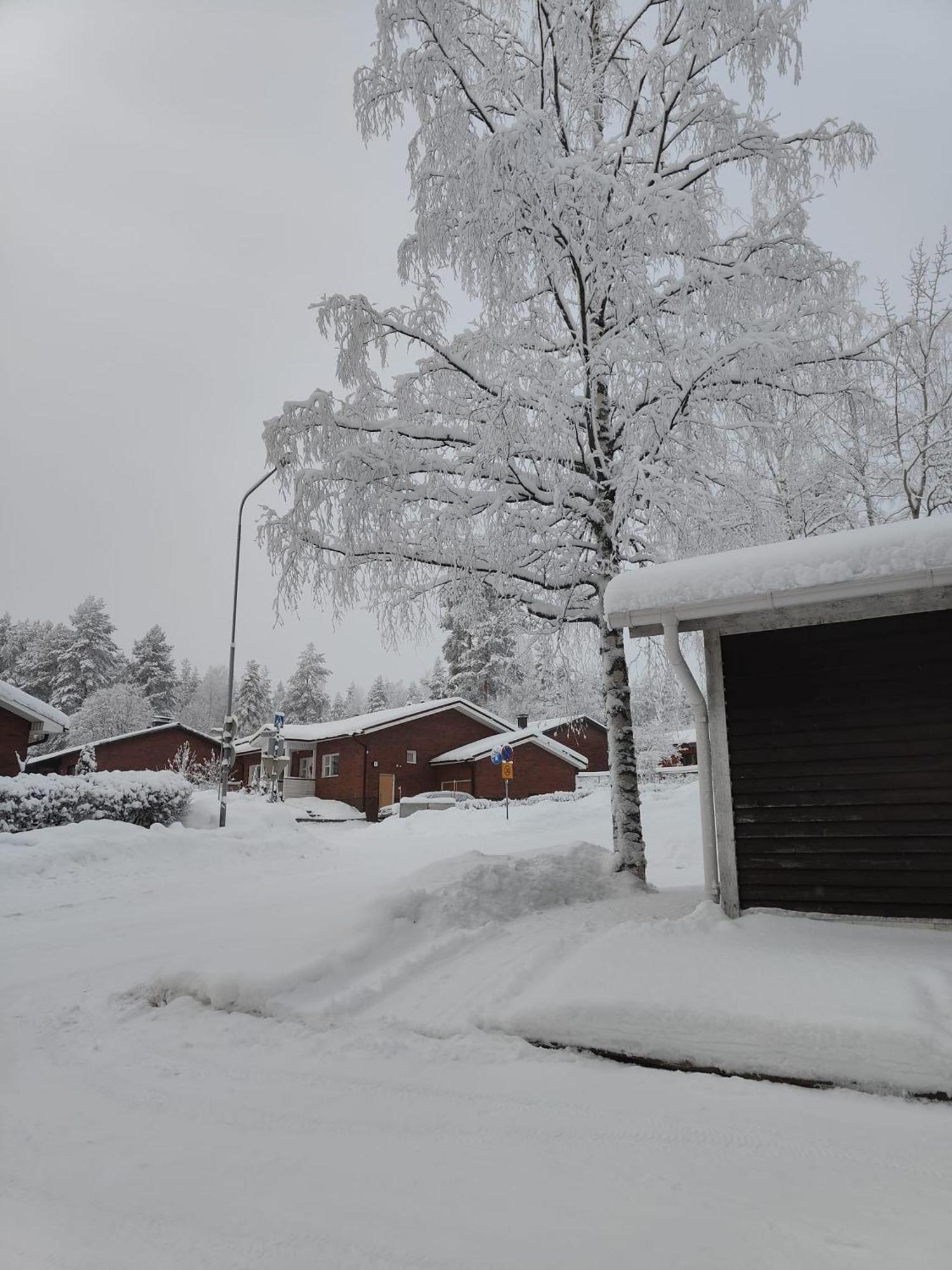 Cozy Forest Retreat In Kuopio - Perfect For Families Work Trips Bagian luar foto